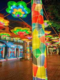🌟 Ningbo's Top Family-Friendly Attractions Unveiled 🎢🐬🎡
