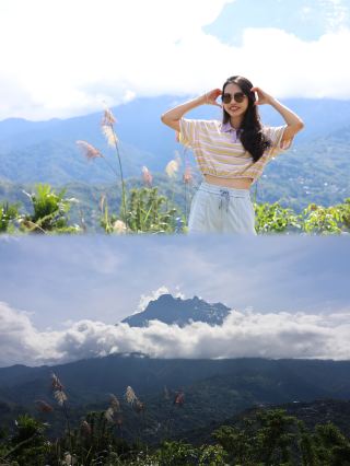 Mount Kinabalu Dairy Farm｜'My Altay' Sub-venue where you can personally feed calves