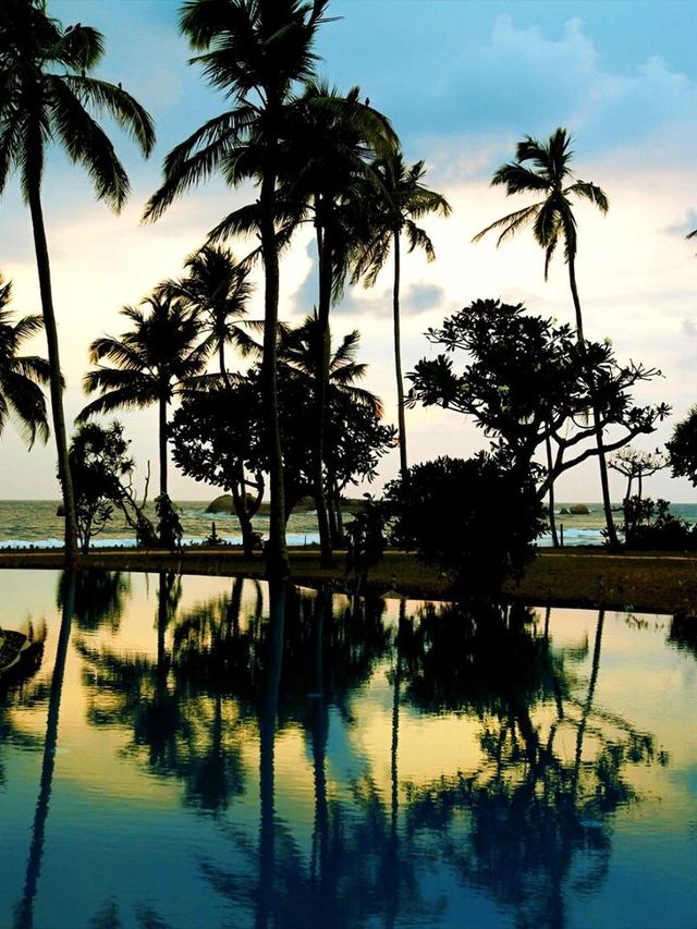 🌴🏖️ Hikkaduwa's Haven: Serene Seascapes & Comfort 🌅🍽️