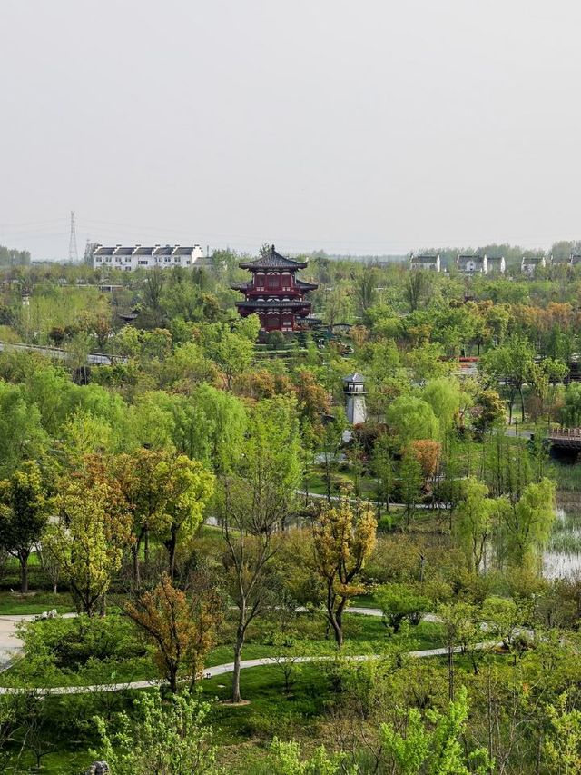 🌸 Jiangsu's Garden Hotel Gem: Stay Amidst Nature 🌿