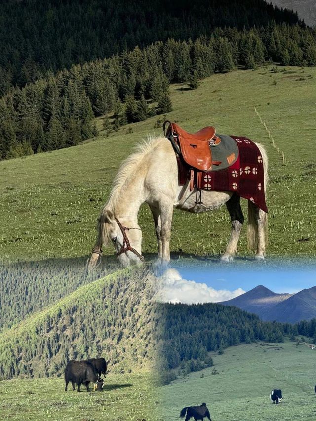甲根壩：川西的夢幻仙境，必去的小眾秘境