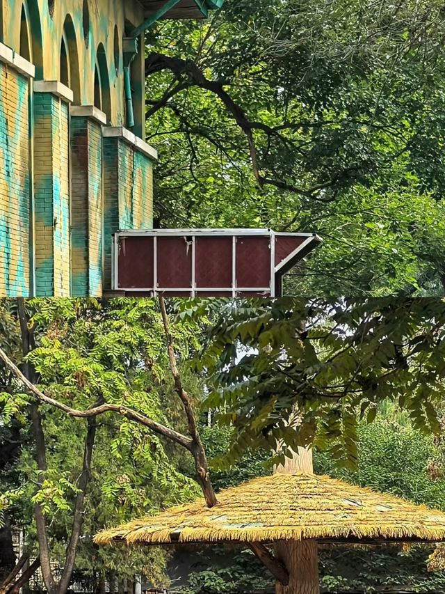 哈爾濱北方動物園，暑假溜娃好去處