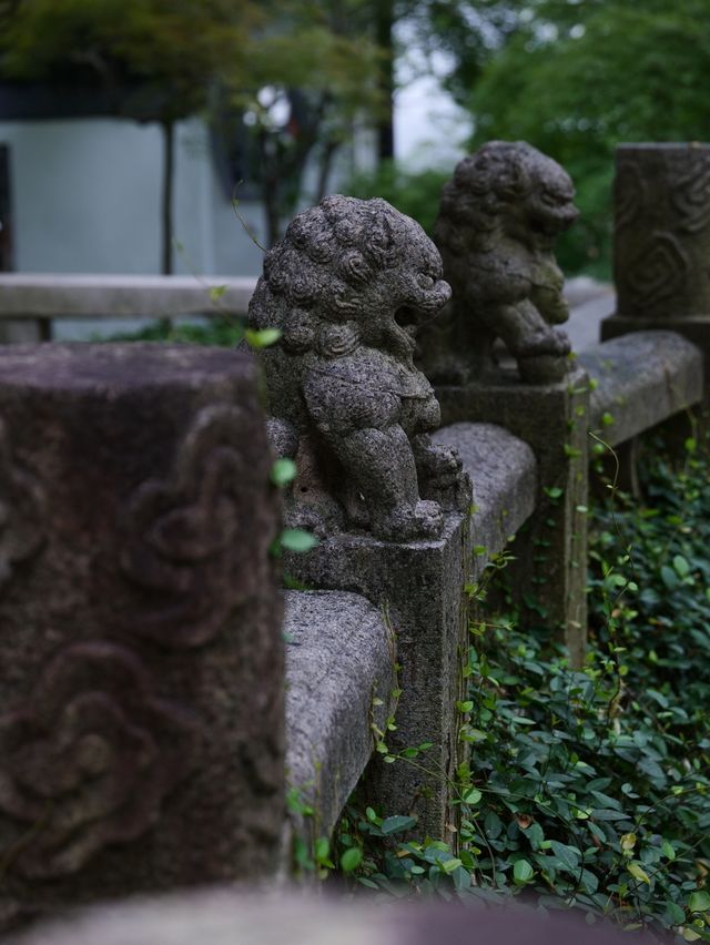 雨後漫步，夏日古典園林景觀大賞