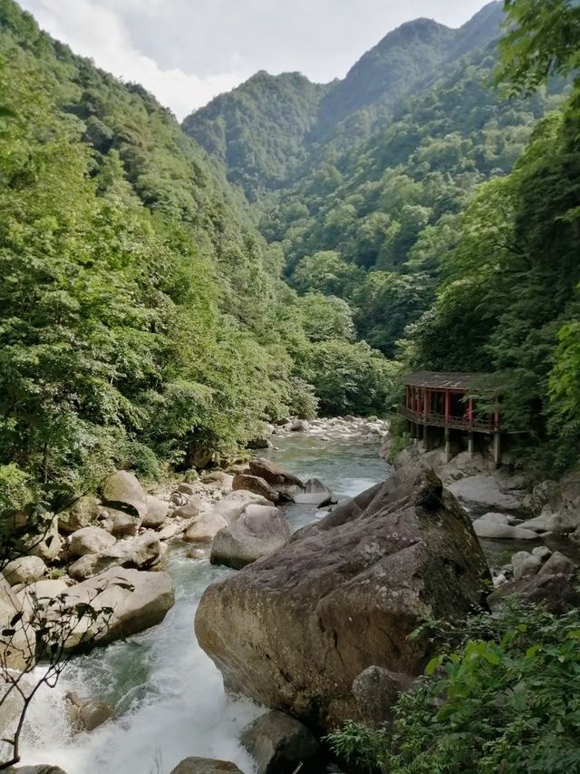 长沙周邊遊 | 株洲神龍谷森林公園
