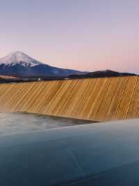 🌸 Fuji Views & Onsen Bliss at Kaneyamaen 🗻🍵