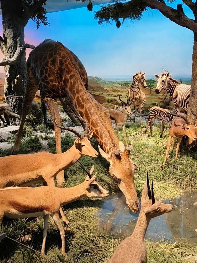 北京海洋館：清涼一夏的夢幻之旅