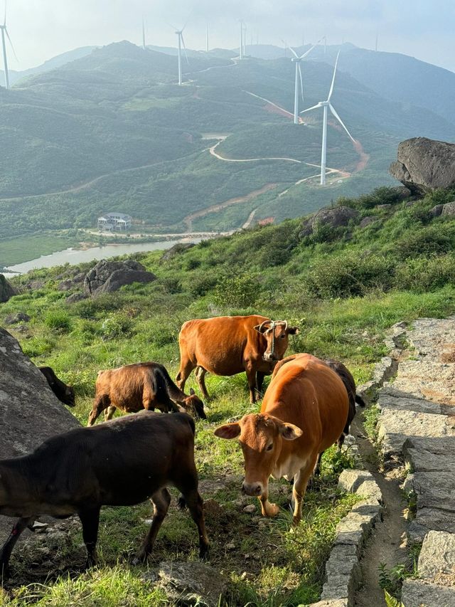 江西人生就應該浪費在這樣的地方