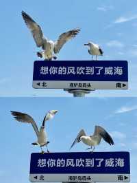 海驴島旅遊指南如何拍出大片級照片？