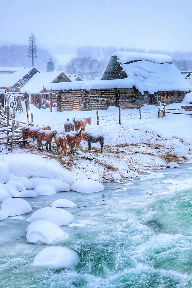冬日仙境 | 新疆阿勒泰滑雪探險全攻略。 冬日仙境 | 新疆阿勒泰滑雪探險全攻略。