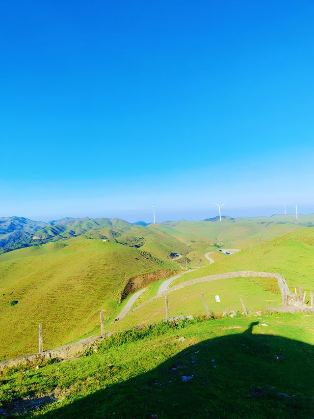 湖南邵陽南山牧場 | 湖南人自己的呼倫貝爾。