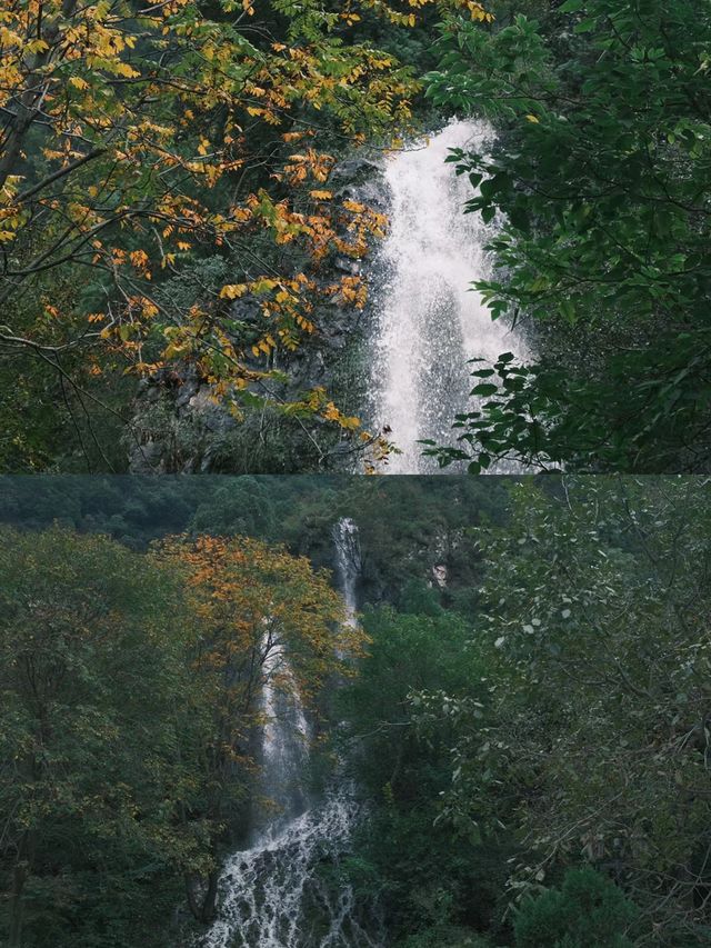 秋日裏的千年古剎淨影寺|鄭州周邊自駕。