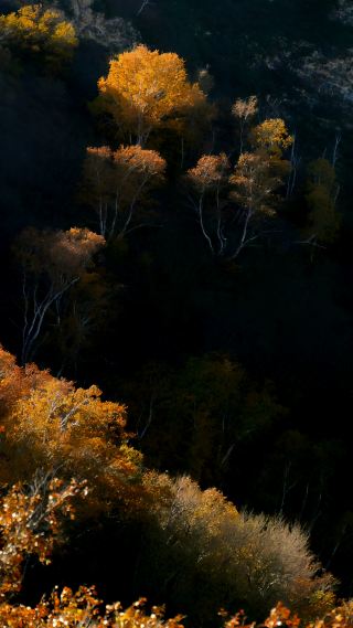 The autumn colors of Hada Gate.