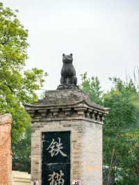 山西真的有為貓咪建造的廟宇——喵喵教總壇。