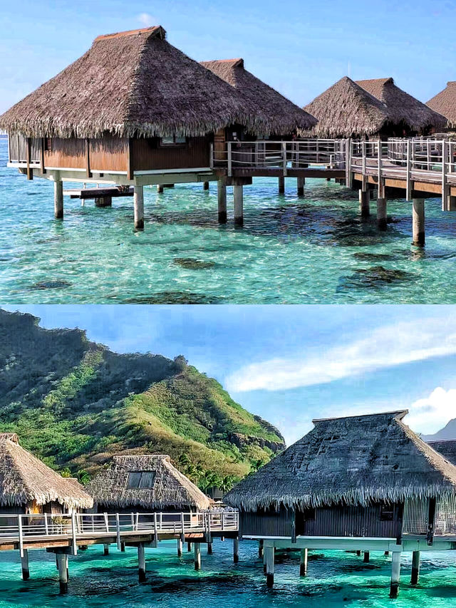 現代風格與波利尼西亞古典建築的結合。
