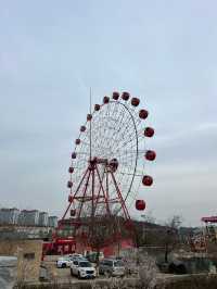 總要來一趟青島園藝博覽園。
