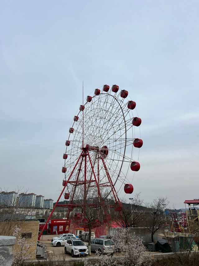 總要來一趟青島園藝博覽園。