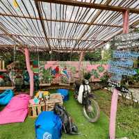 local balinese food