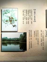 蘇軾的文學成就--宋代文學的巔峰。