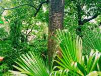 Unique Preserve: Adward Youde Aviary