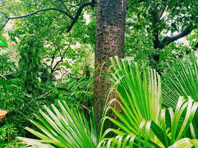 Unique Preserve: Adward Youde Aviary