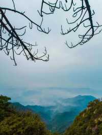 岳陽周邊登山寶典：家庭友好型路線揭秘與必知事項！。