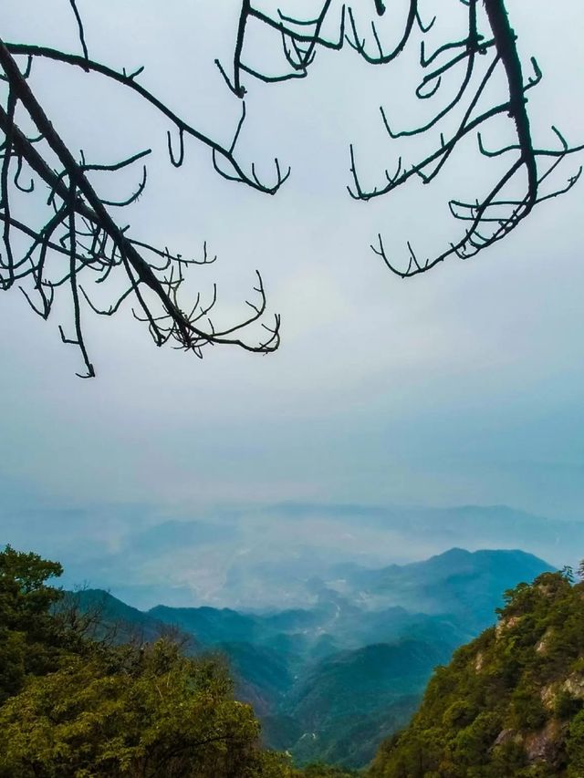 岳陽周邊登山寶典：家庭友好型路線揭秘與必知事項！。