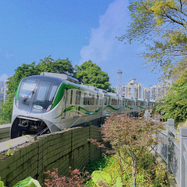 半山崖線｜重慶红墙和“開往春天的列車”就在這兒，很好出片