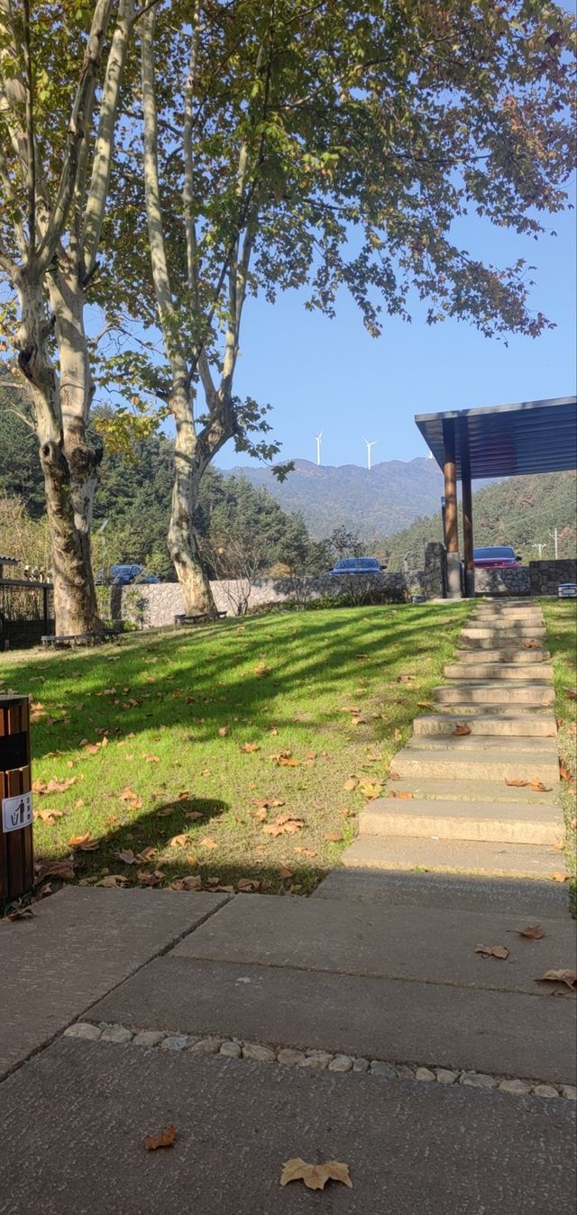 秋天最美的春山灣留居。