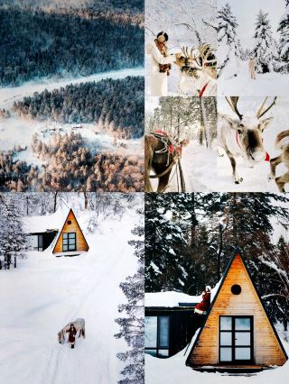 心心念念的雪中森林泰泰老里克湖。