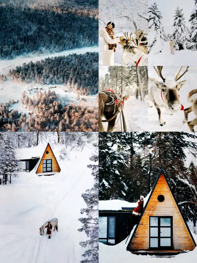 오랫동안 꿈꿔왔던 눈 속 숲 타이타이 라오리커 호수.