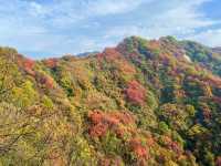 西安‧周至耿峪免費賞紅葉。