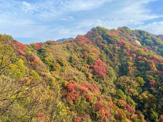 西安‧周至耿峪免費賞紅葉。