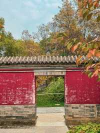 周末到保定｜蓮花書院。