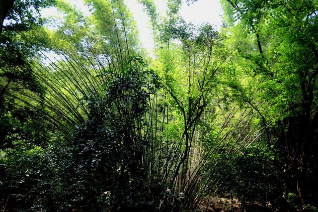 白雲深處有人家~~白雲山風景區。