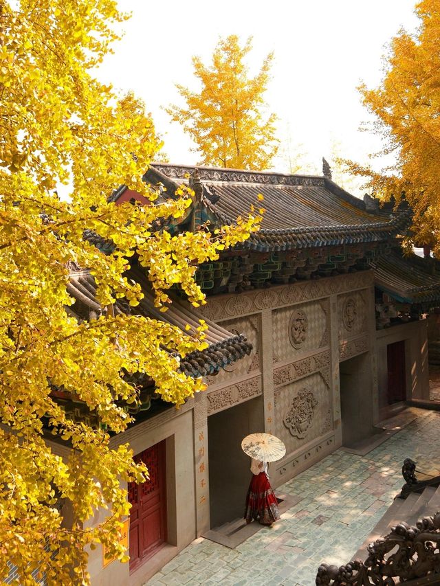 重慶銀杏滿園的寶藏寺廟——寶輪寺。