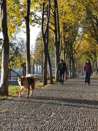 荊州古城－明月濕地公園。