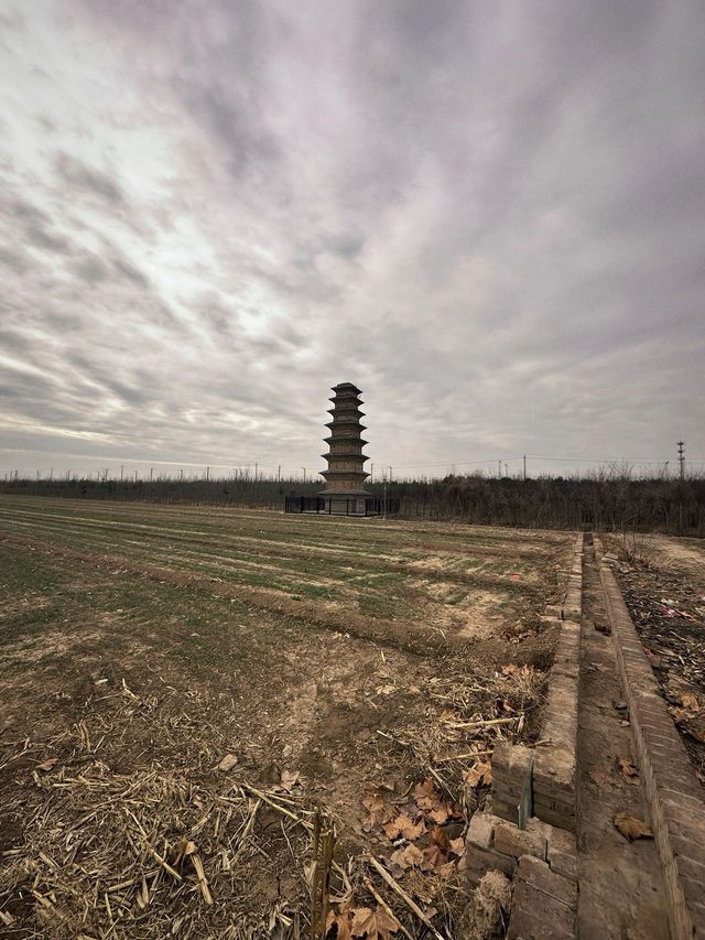 臨猗閭原頭永興寺塔|莊稼地裡的古塔