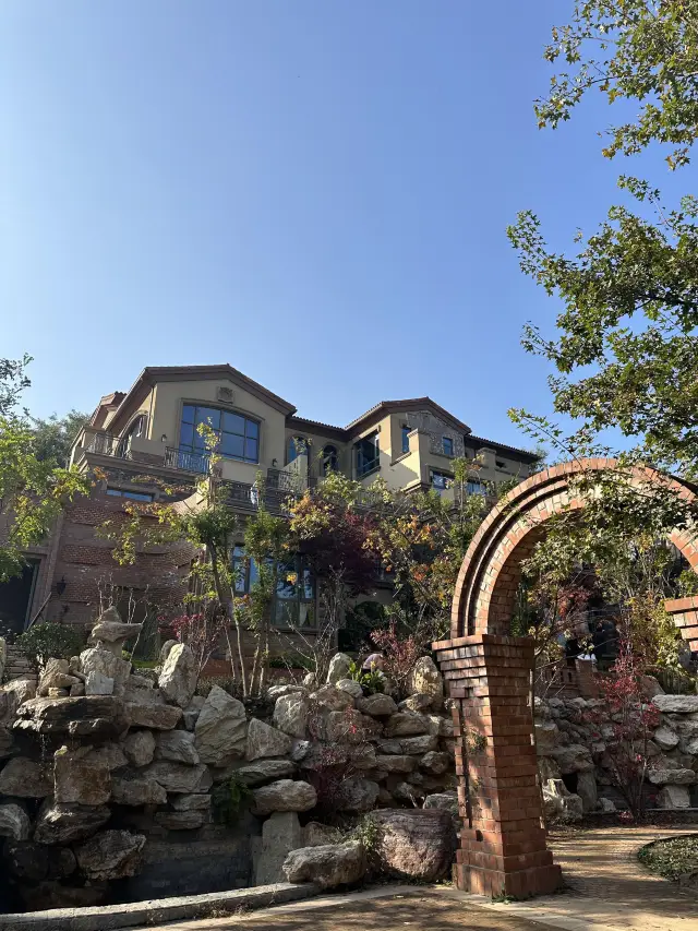 Up-and-coming Shijiazhuang winery｜Shangshanjian