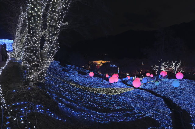 Travel Guide: Sagamihara Lake Light Show - A Romantic Destination?