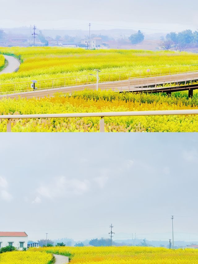 蜀南花海：夢幻之旅等你探索！