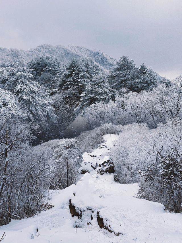 江浙滬初雪，徒步天堂的冰雪奇緣