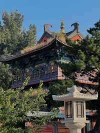 遼陽白塔公園：古老與現代交織的魅力之地