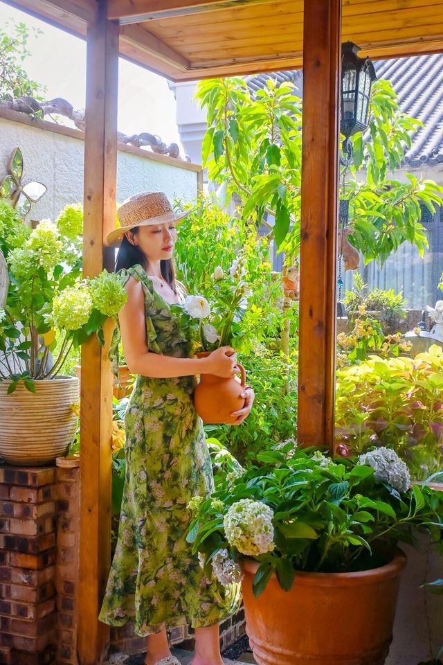 為了這個花景 | 專程來了趟柳州