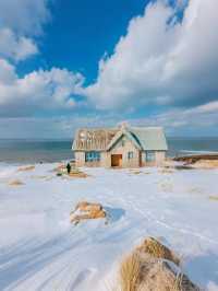 寒假帶娃看雪,威海之行必看攻略!