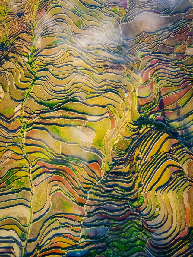 Honghe-Qujing-Kunming Tour with Friends: A Detailed Guide