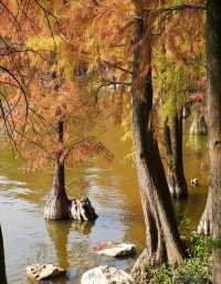 佛山三水森林公園