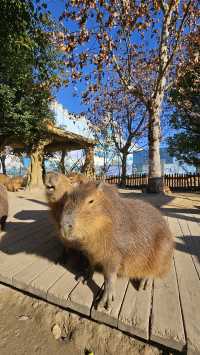 南通動物園