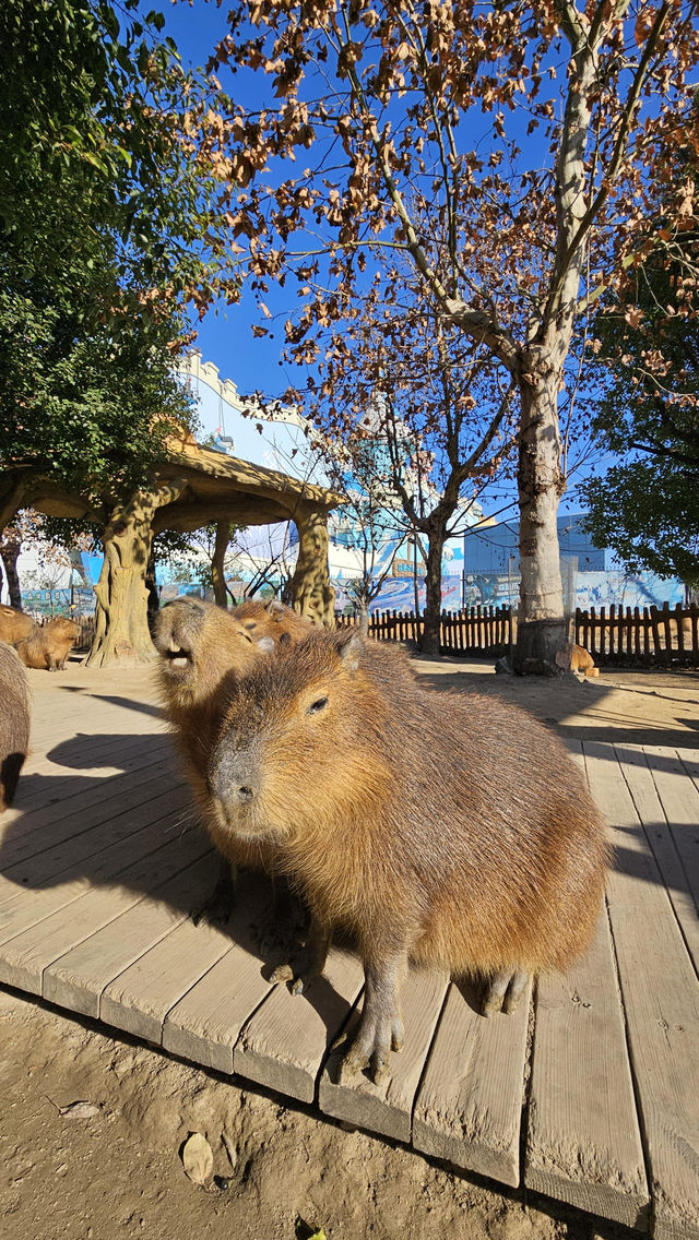 南通動物園