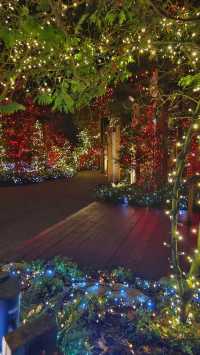 Capilano Suspension Bridge Park's Light Show