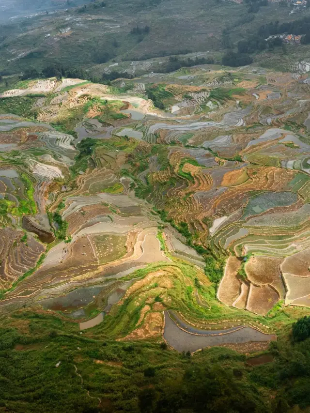 3-Day Family Trip to Honghe: Detailed Guide